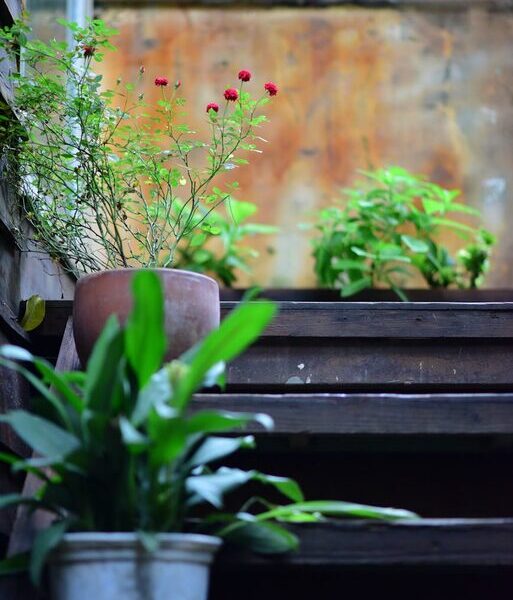 Simple Steps to Create a Relaxing Home Garden Space