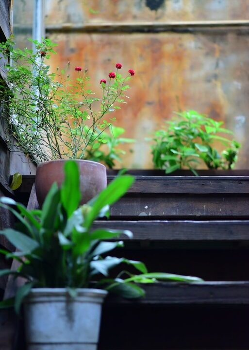 Simple Steps to Create a Relaxing Home Garden Space