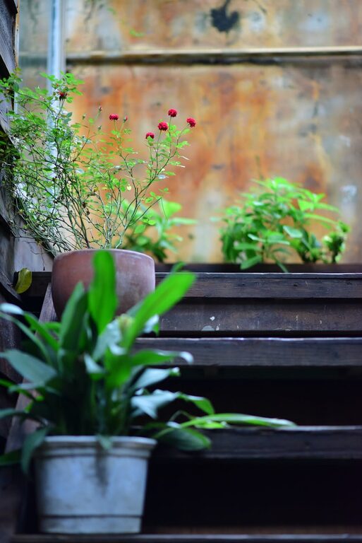 Simple Steps to Create a Relaxing Home Garden Space