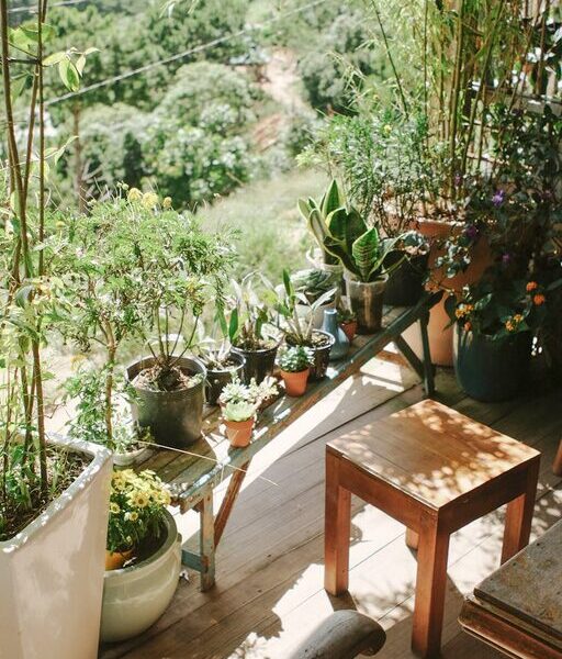 Tips for Creating a Relaxing Home Garden Space