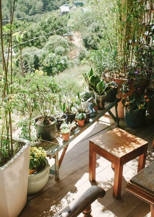 Tips for Creating a Relaxing Home Garden Space